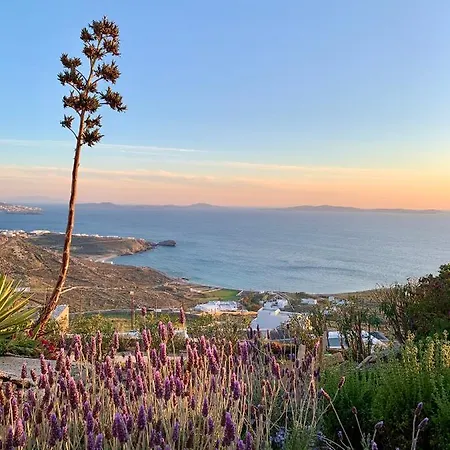 The Seaview Holiday home